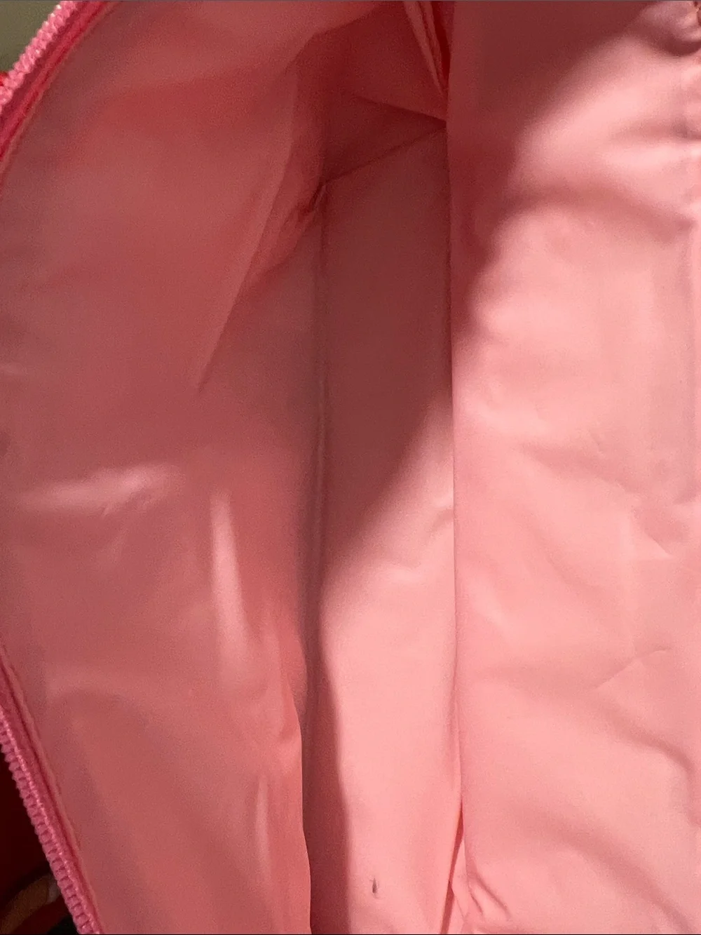 Trader Joe's Pink Insulated Tote Bag